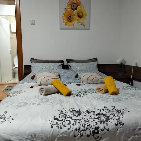 Apartman Ignjatovic Ni