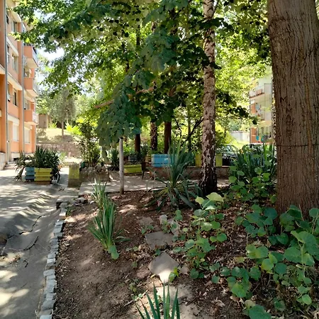 Ignjatovic Apartman