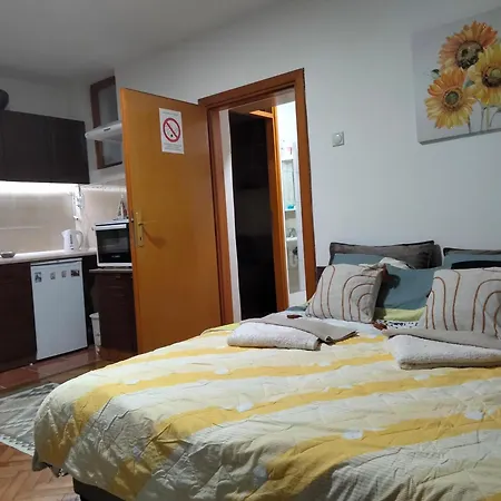 Apartment Ignjatovic