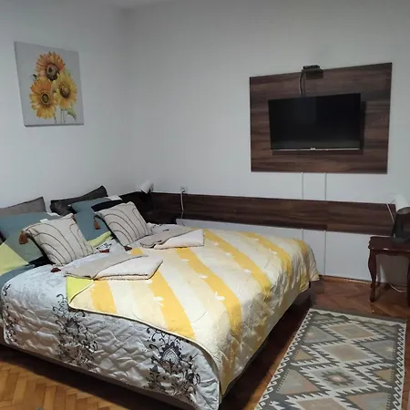 Apartment Ignjatovic Ni