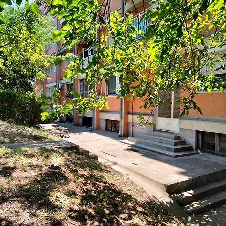 Ignjatovic Ni