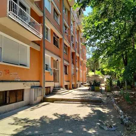 Ignjatovic Ni